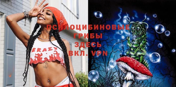 дмт Алексеевка